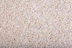 Ковролин Condor Minotti Minotti 917204 фото  | FLOORDEALER